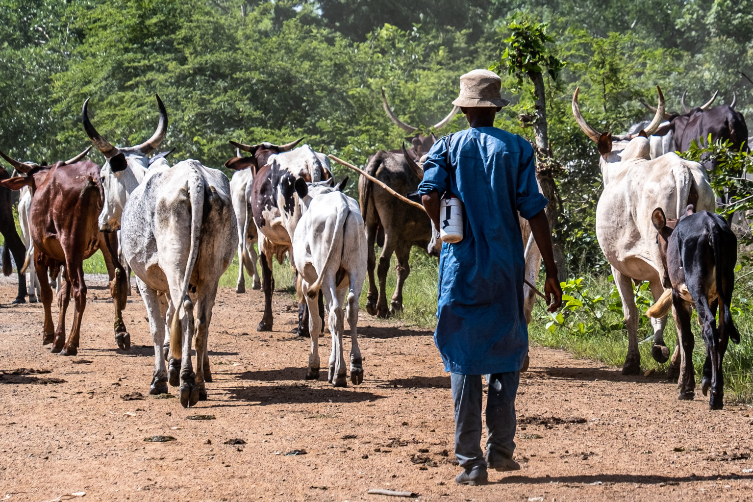 Dont Call It Farmer Herder Conflict The Sais Review Of International