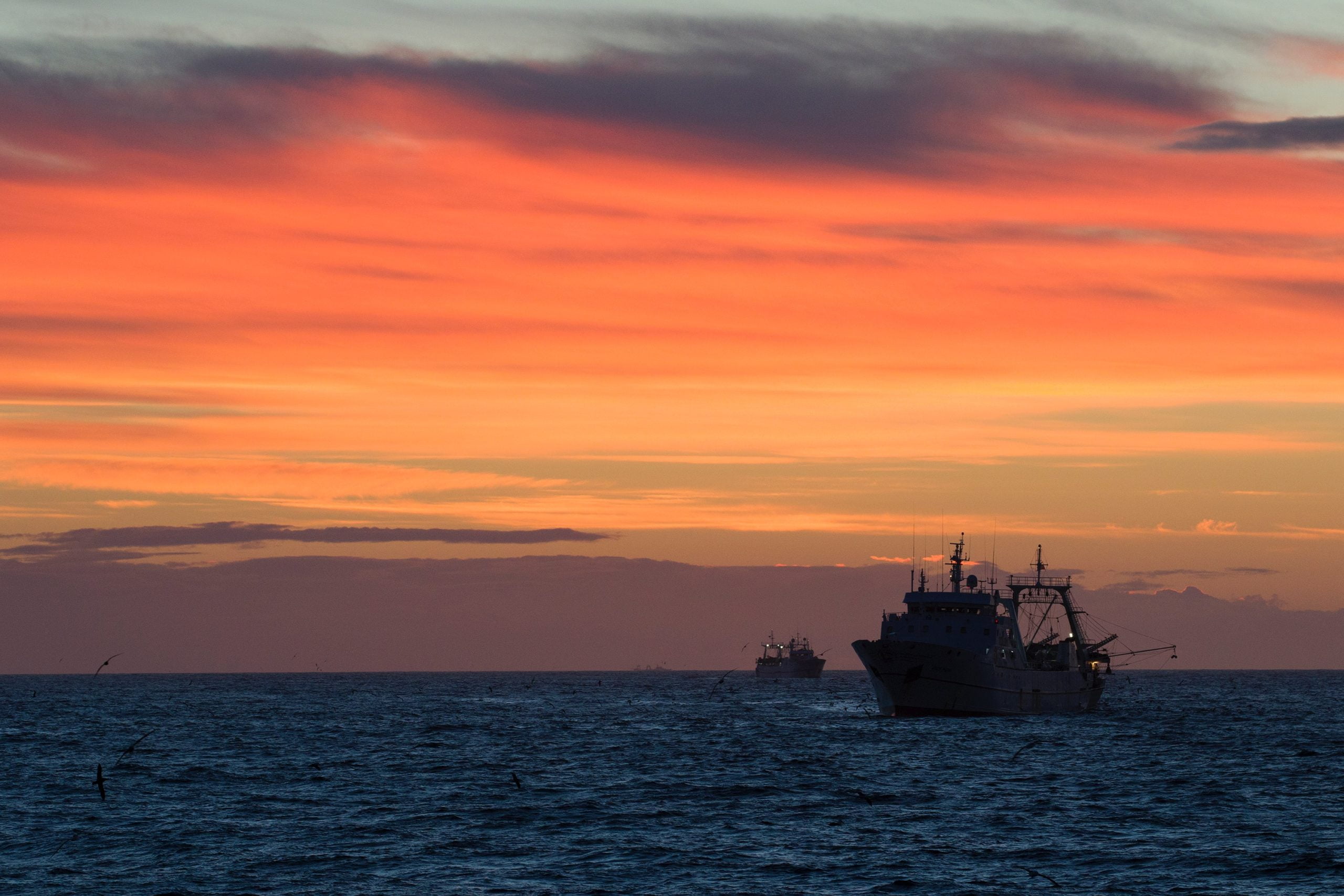 One of the Bay Area's last fishing trawlers is once again without a home,  forced out of Redwood City